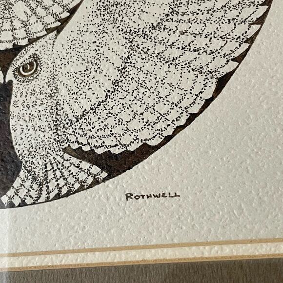 Vintage Original Pen and Ink Drawing Owls EB Rothwell - Picture 6 of 10